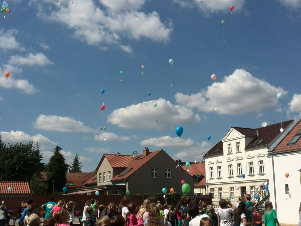 Neu (88)